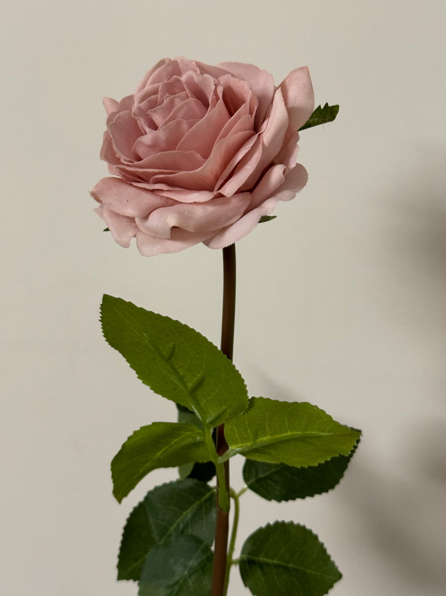 Alice Real Touch Premium Single Stem Rose Dusty Pink