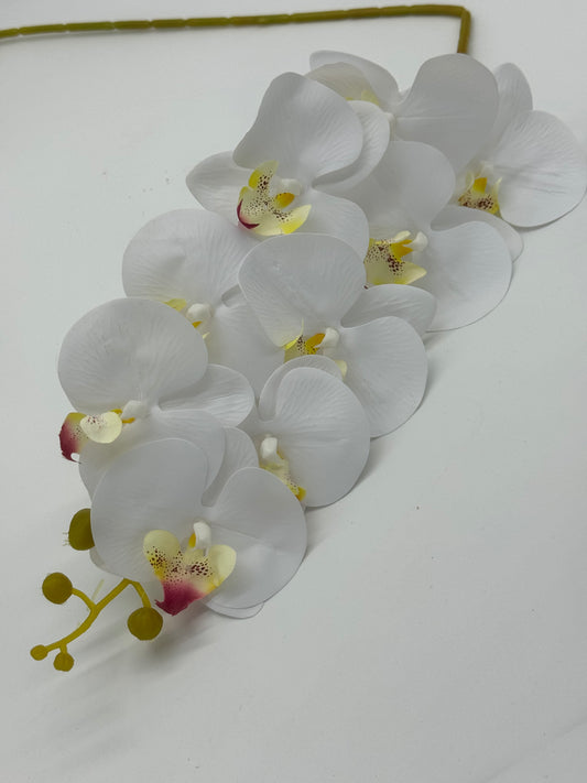 Single Stem Phalaenopsis Orchid 9 Heads White