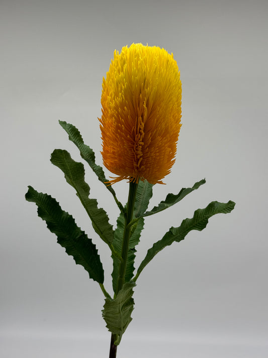 Australian Banksia Yellow Stem Real Touch