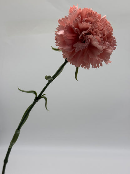 Carnation Large Silk