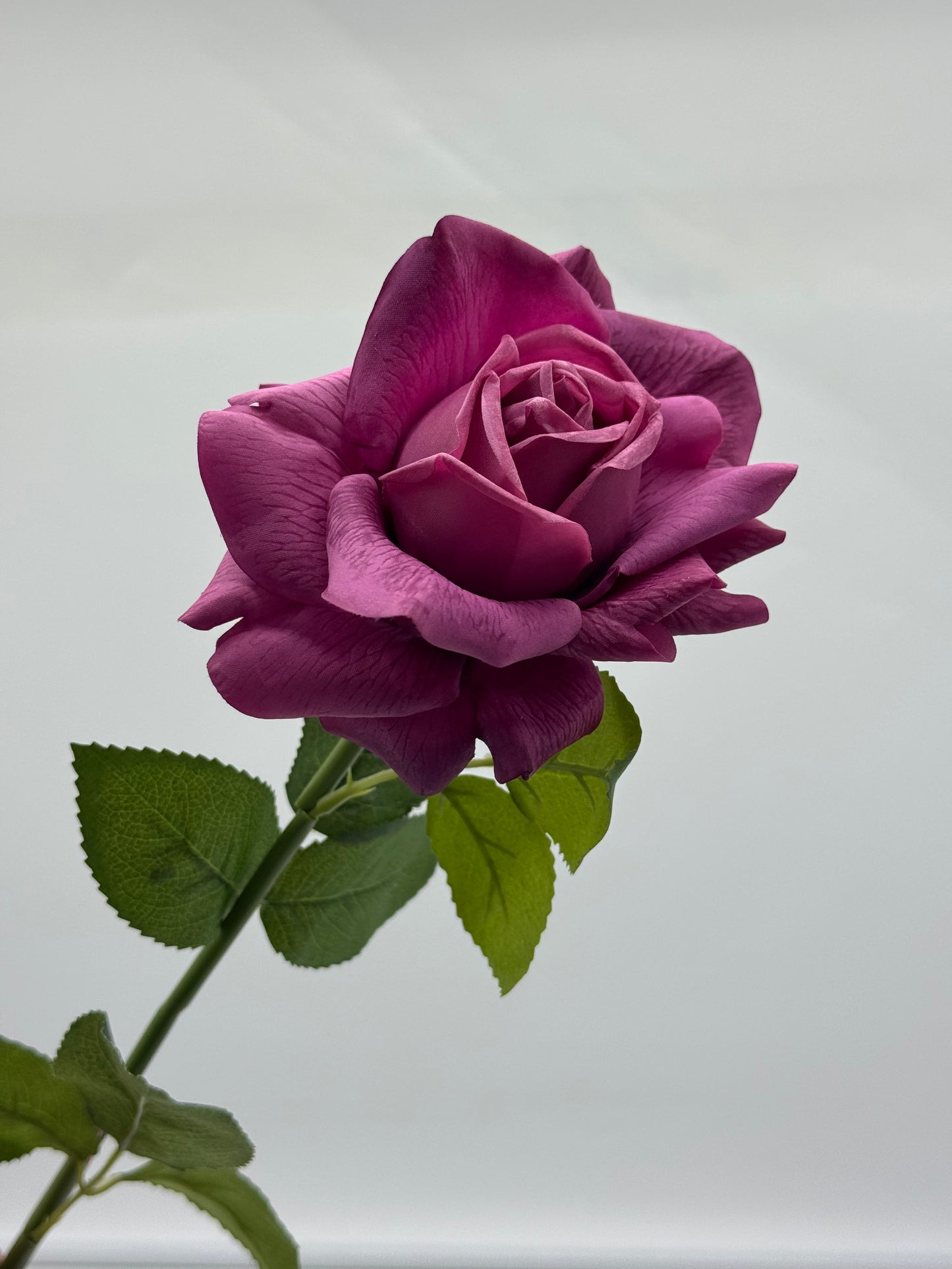Louis Rose Real Touch Single Stem