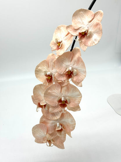 Real Touch Phalaenopsis Orchid Stem Peachy Pink