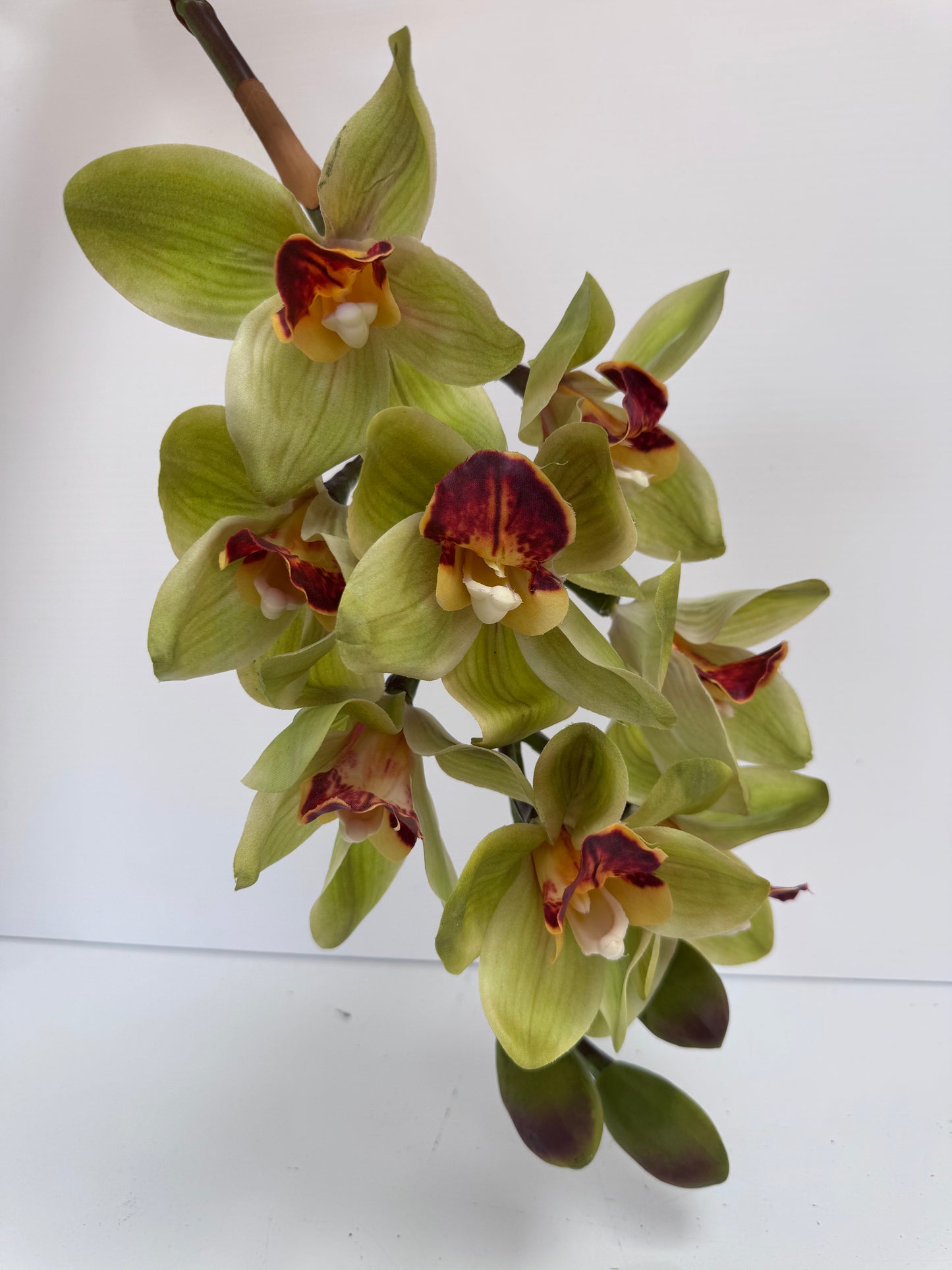 Premium Large Orchid Real Touch