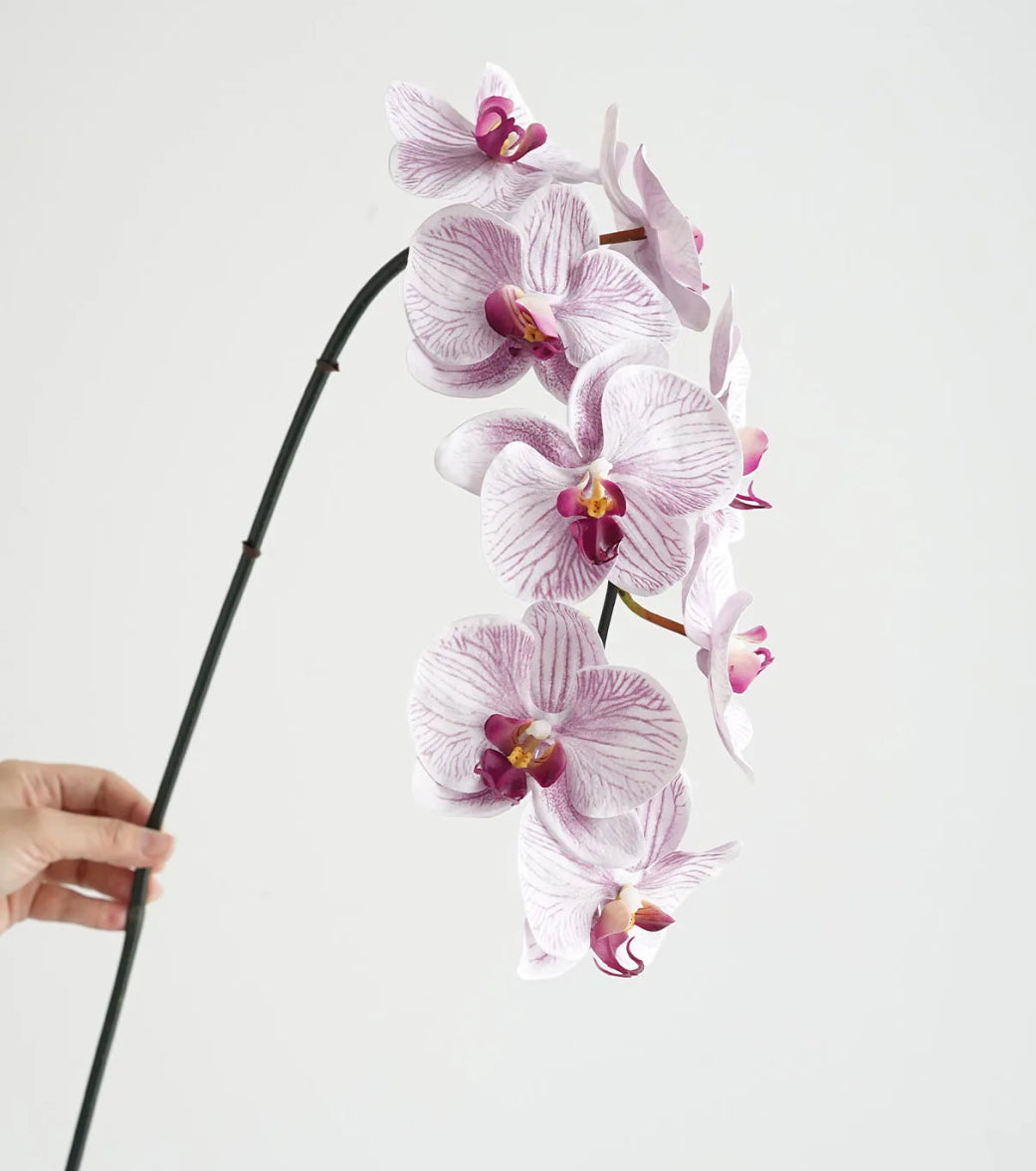 Real Touch Phalaenopsis Orchid Stem Purple