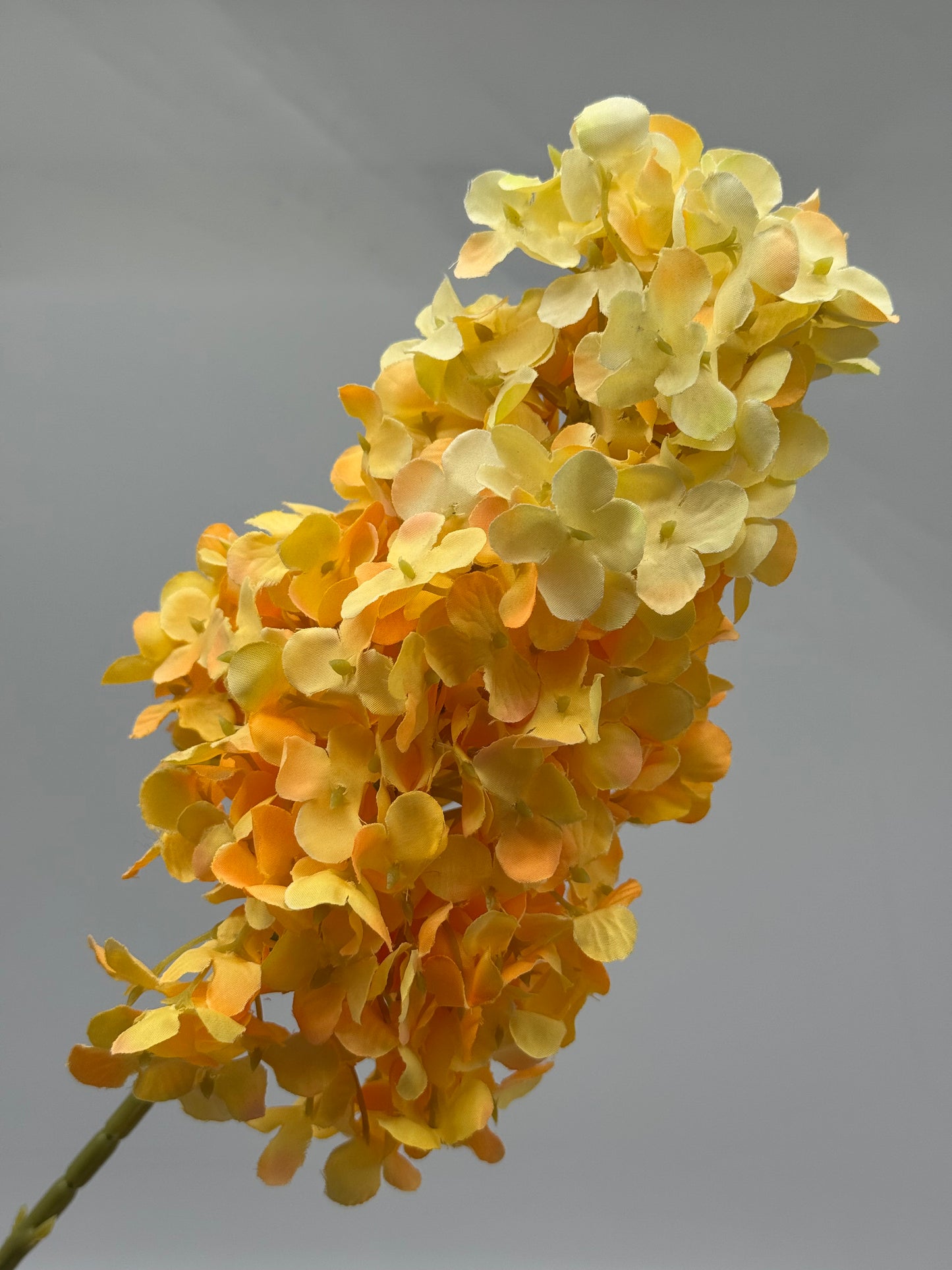Hydrangea Cone Silk