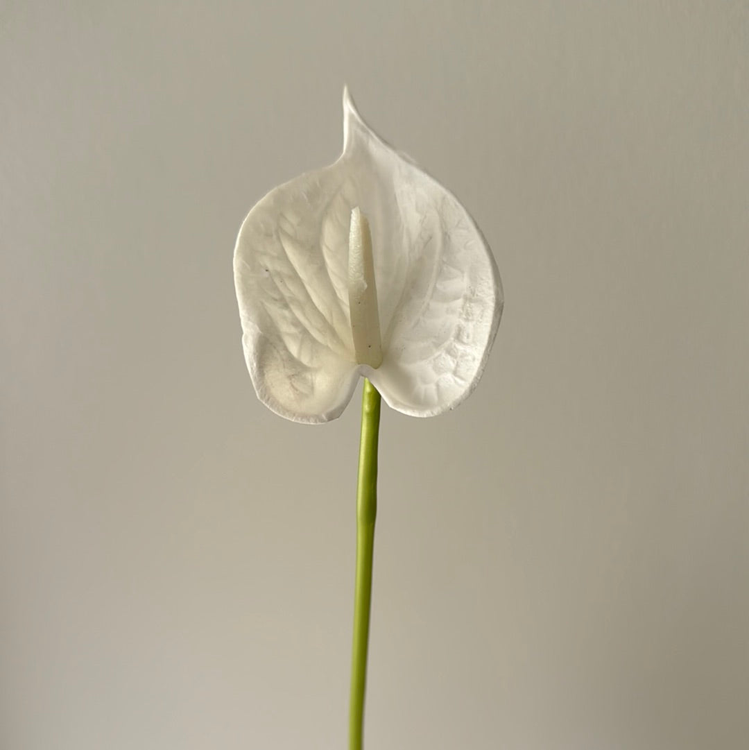 Real Touch Anthurium White Small