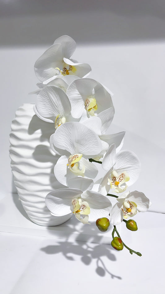 Real Touch Single Stem Phalaenopsis Orchid 9 Heads White