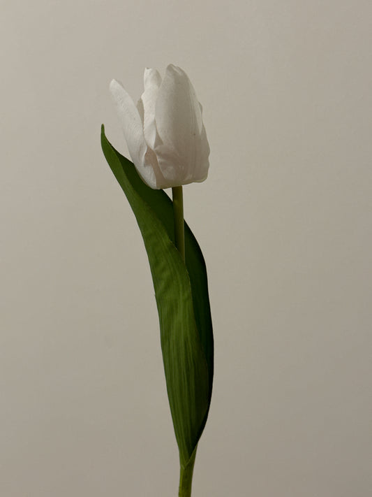 Tulip Real Touch White