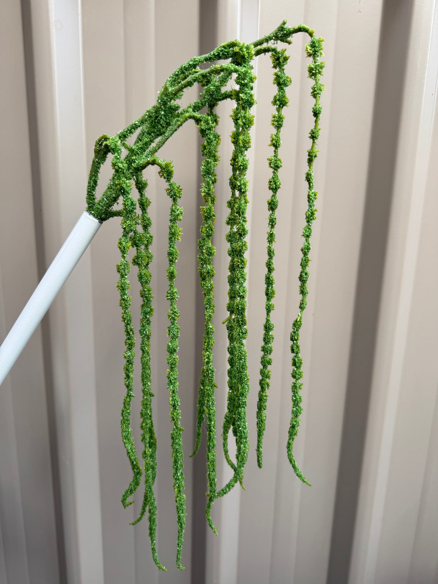 Real Touch Amaranthus