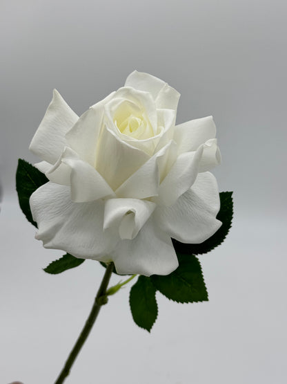 Real Touch Tricia Rose White Single Stem