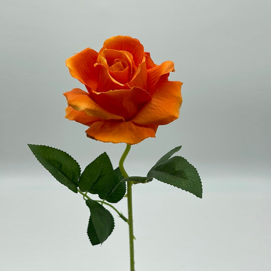 Rose Single Stem Orange