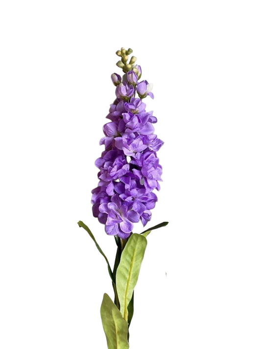 Hyacinth Purple Stem