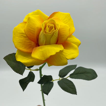 Velvet Single Stem Rose Yellow