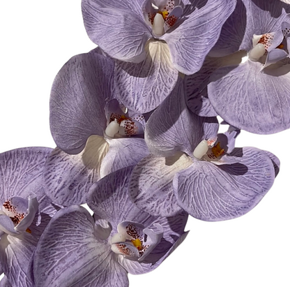 Single Stem Orchid Phalaenopsis 9 Heads Purple