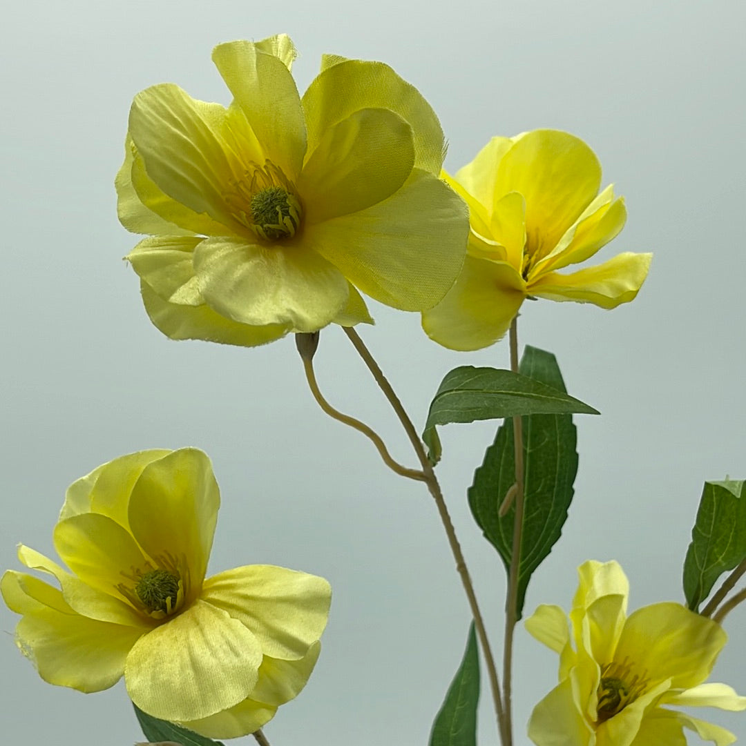 Poppies Spray Yellow