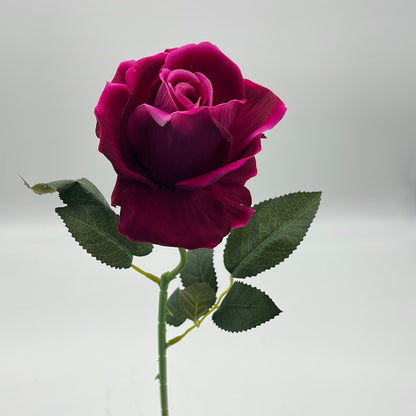 Velvet Single Stem Rose Berry