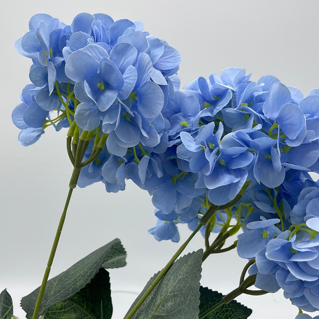 Hydrangeas Spray Blue