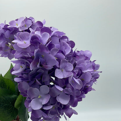 Hydrangeas Spray Lavender