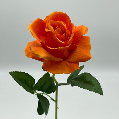 Rose Single Stem Orange