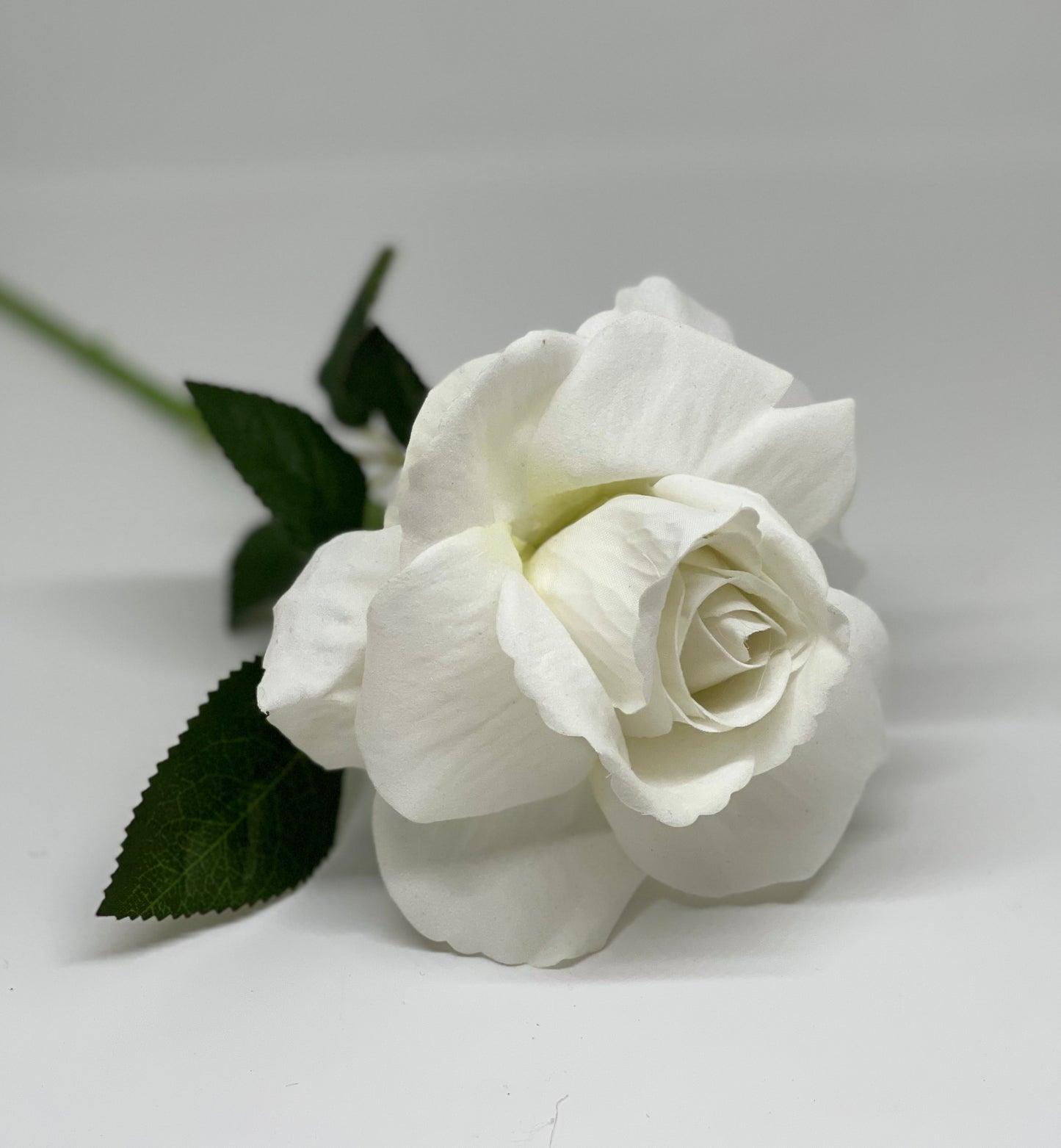 Velvet Single Stem Rose White