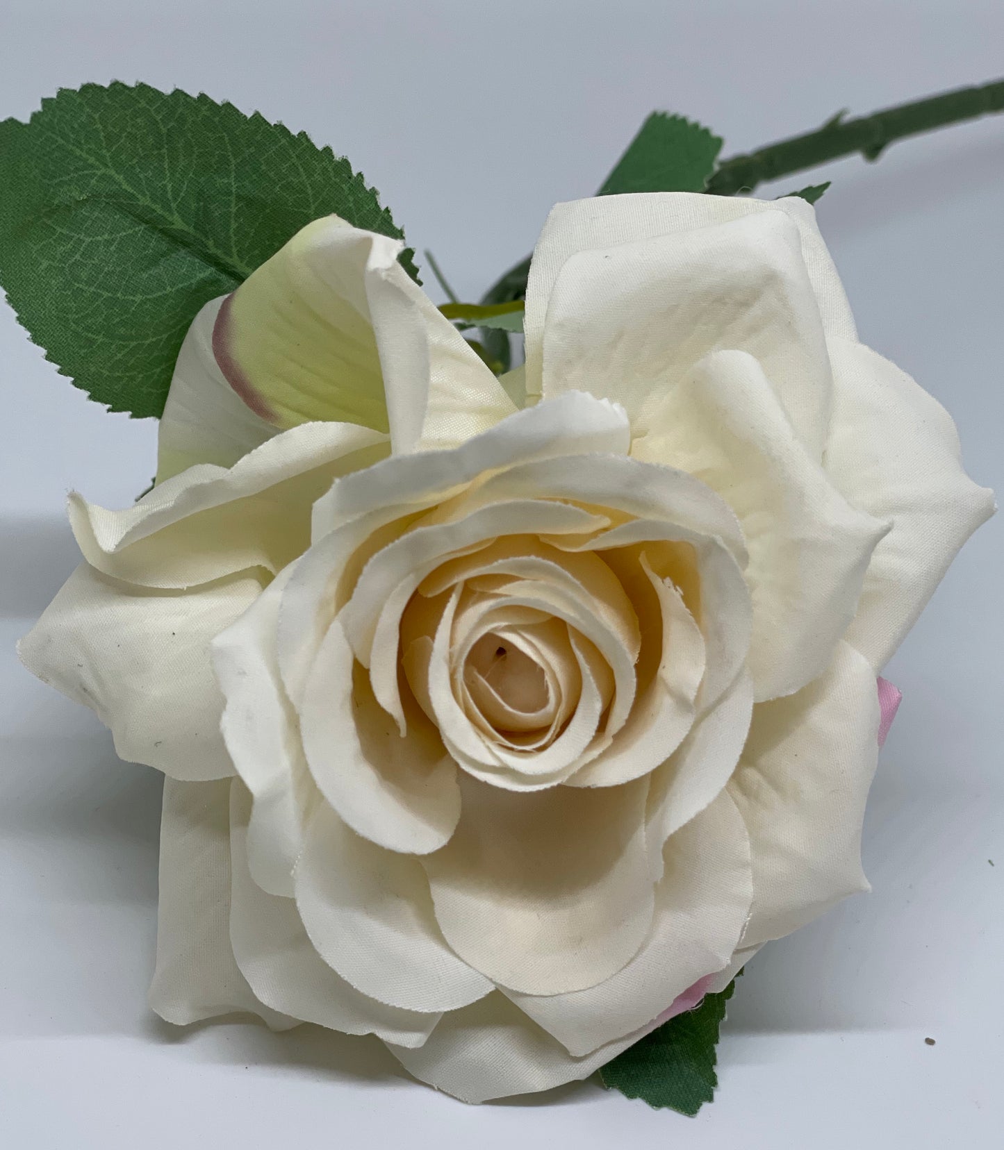 Single Stem Rose Ivory