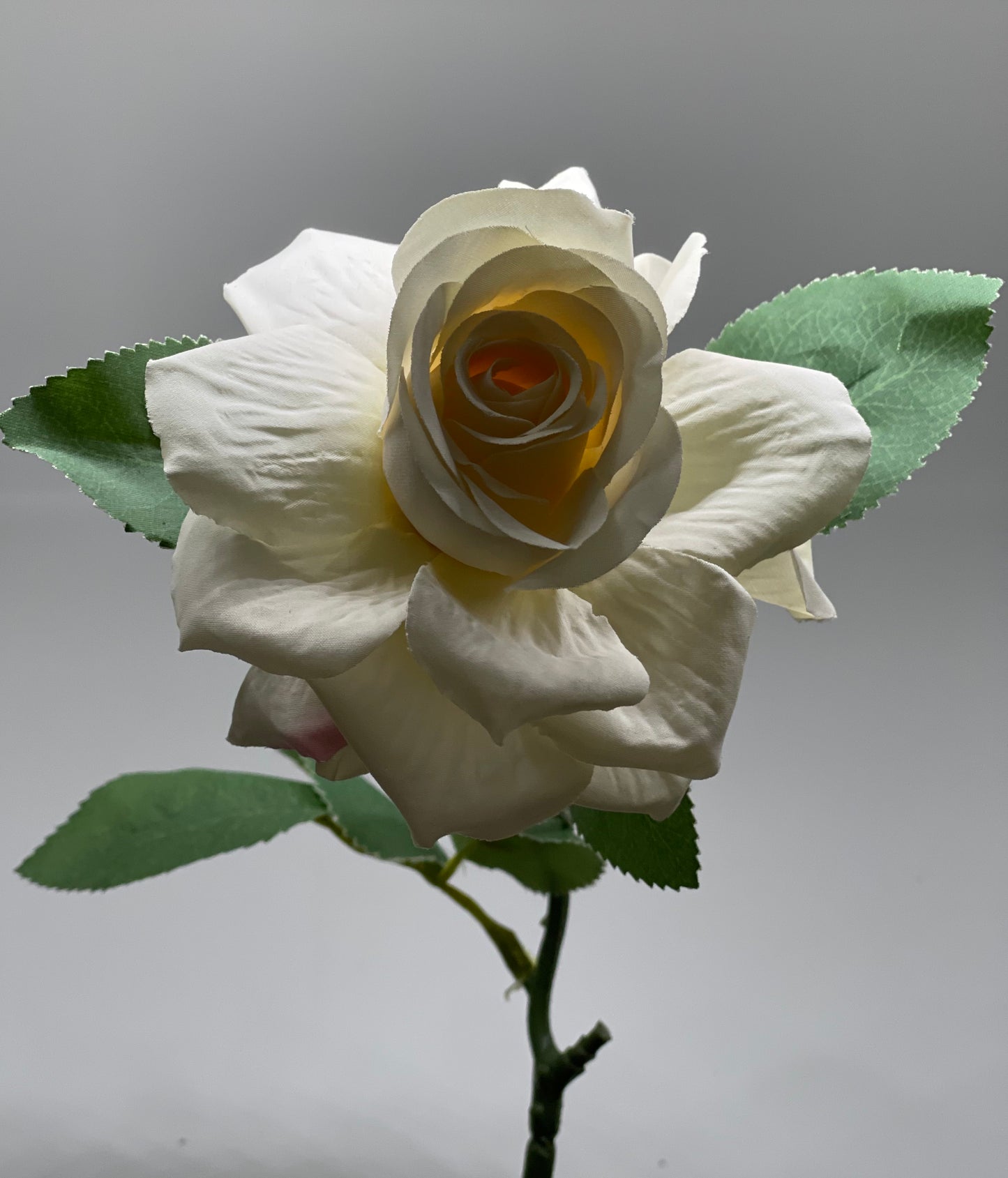 Single Stem Rose Ivory