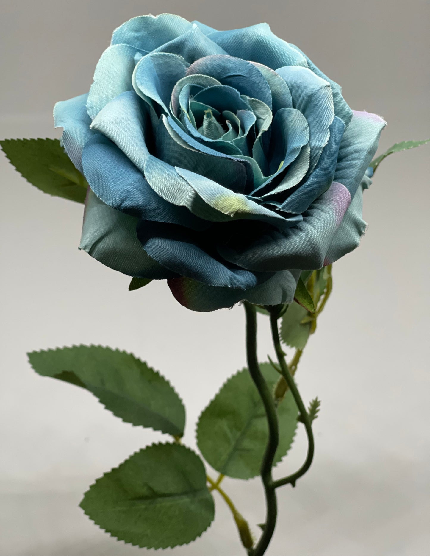 Single Stem Rose Blue