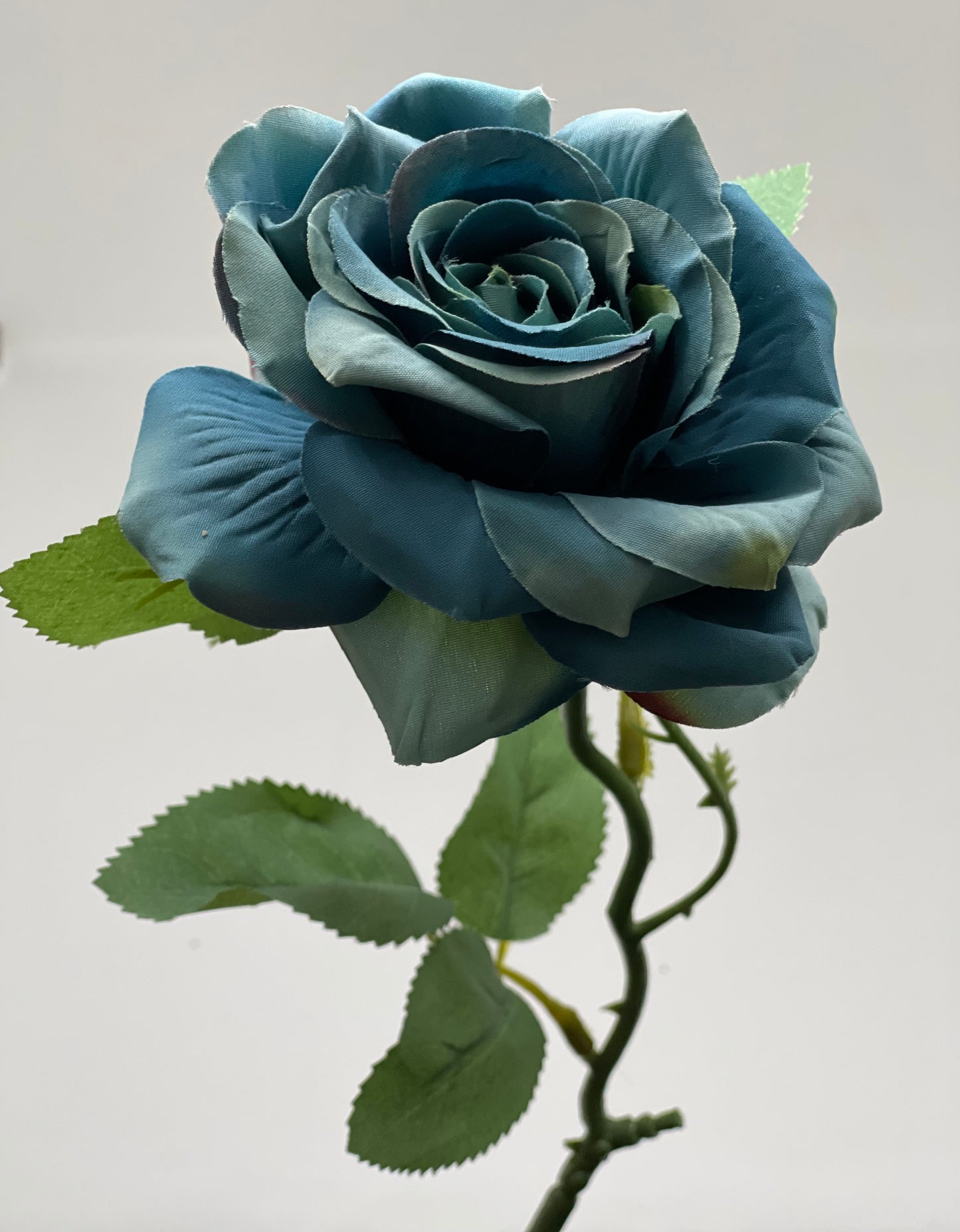 Single Stem Rose Blue