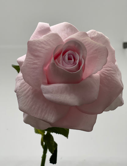 Velvet Single Stem Rose Light Pink