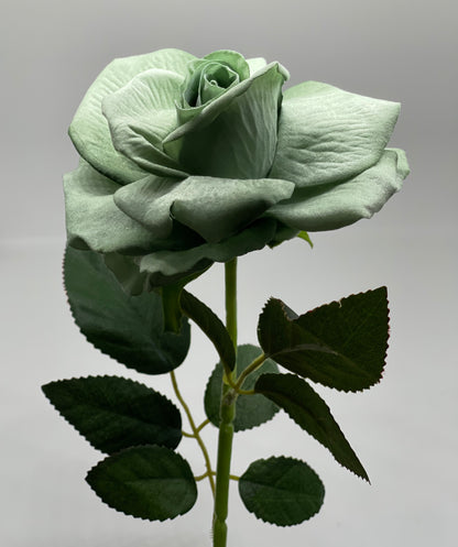 Velvet Single Stem Rose Green