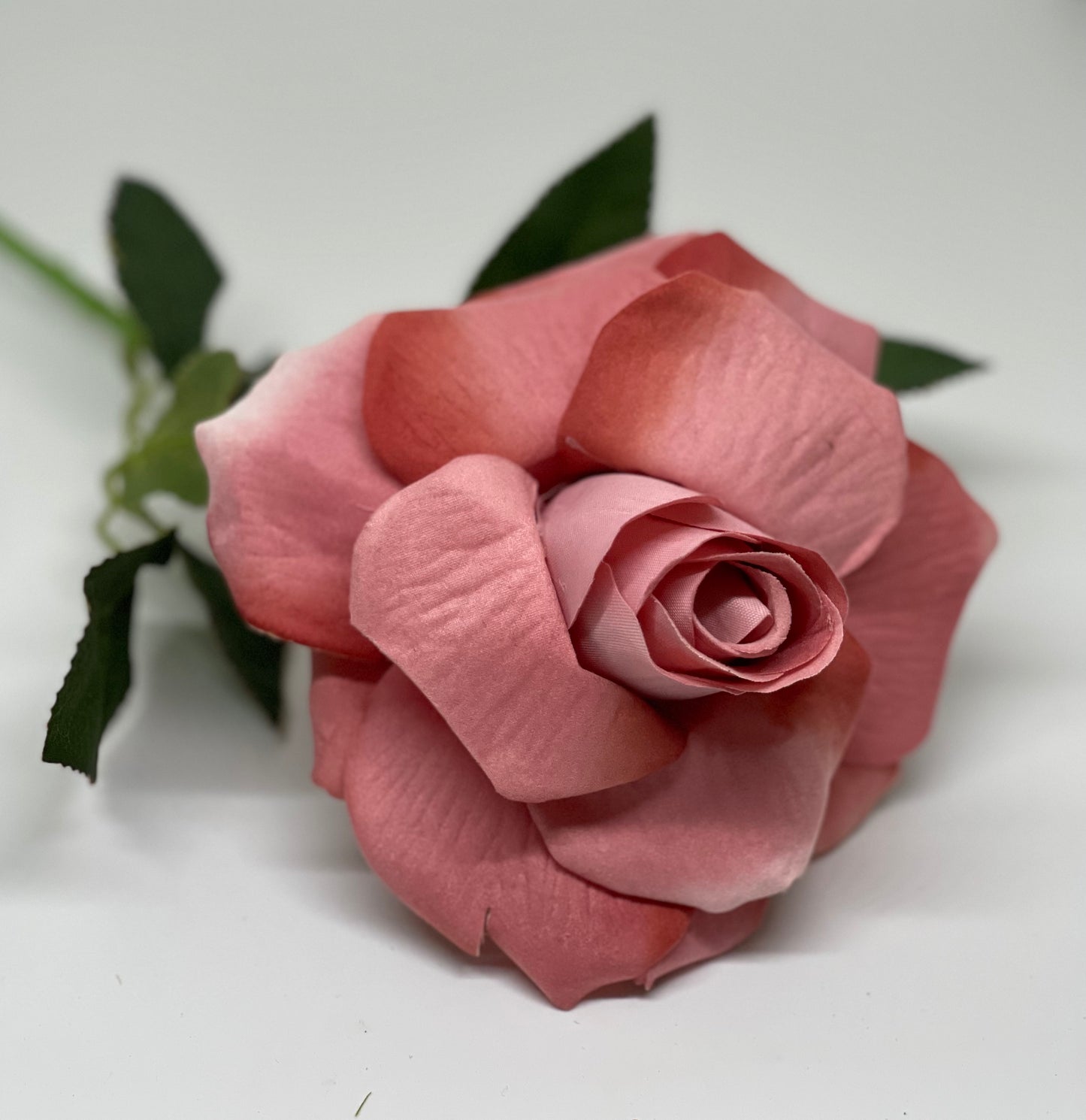 Velvet Single Stem Rose Pink