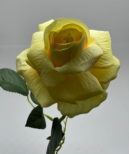 Velvet Single Stem Rose Yellow