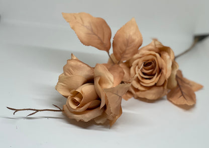 2 Heads Branch Roses Combo