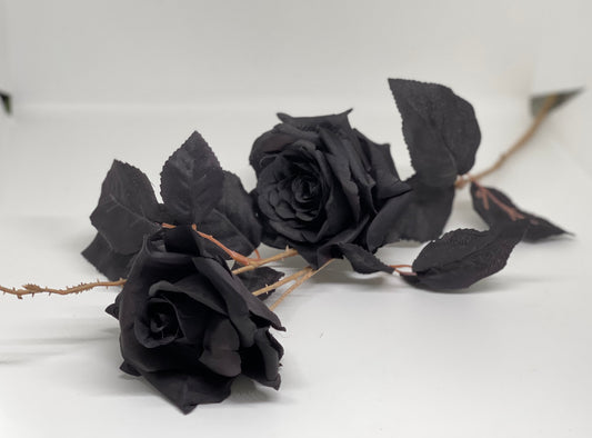 2 Heads Branch Roses Black