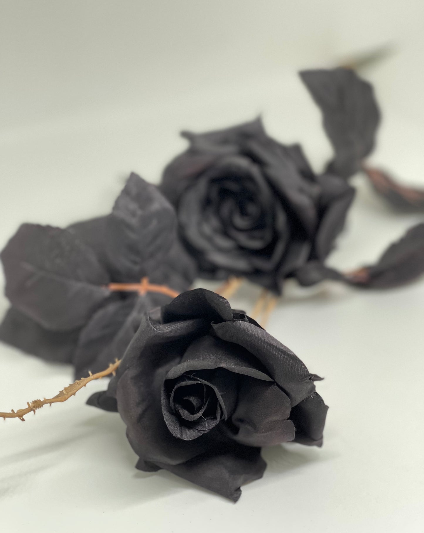 2 Heads Branch Roses Black