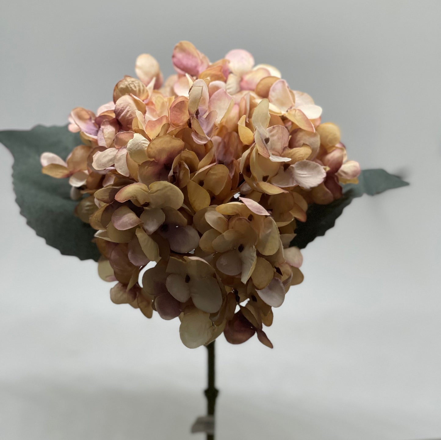 Single Stem Hydrangea Faux Dried