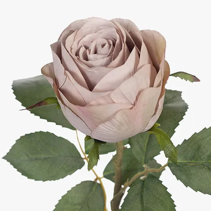 Single Stem Rose Pink