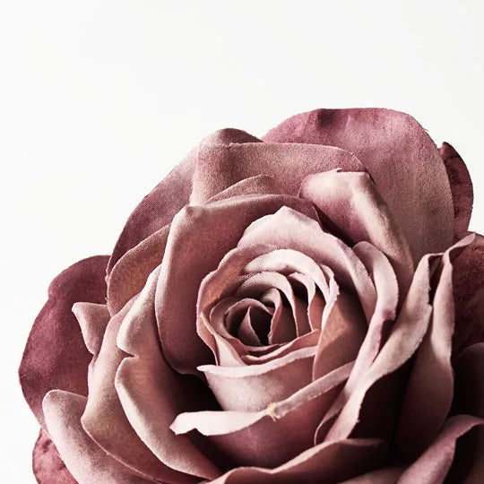 Single Stem Rose Mauve