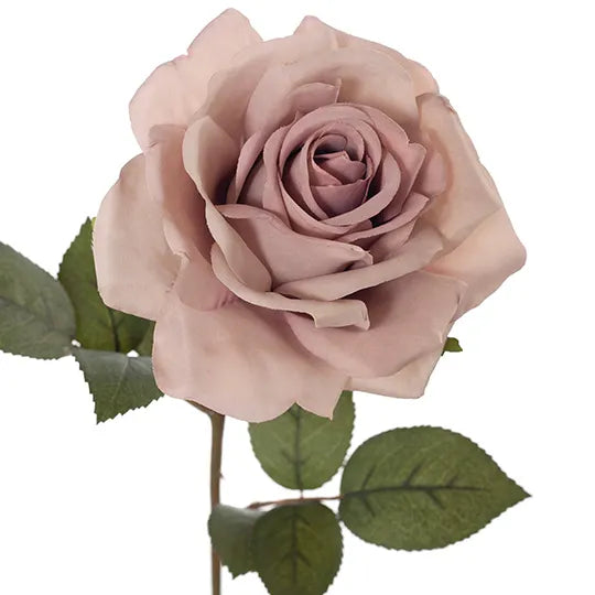 Single Stem Rose Pink