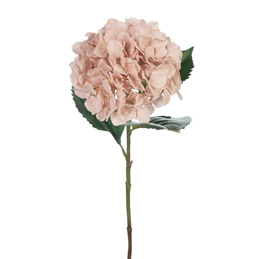 Single Stem Hydrangea Pink