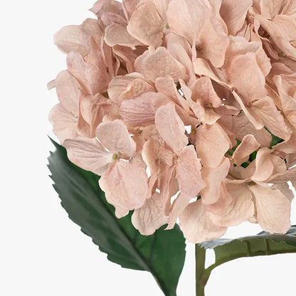 Single Stem Hydrangea Pink