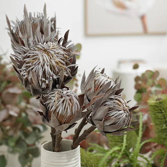 Single King Protea Brown