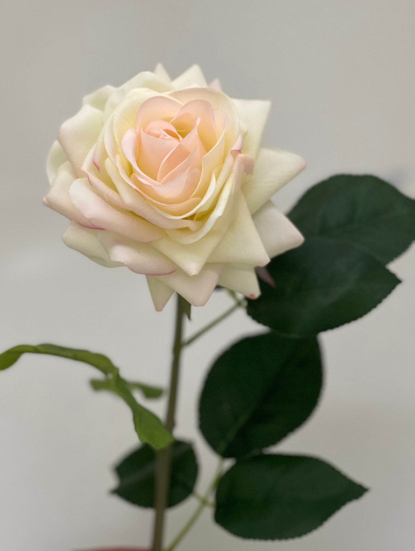 Real Touch Single Stem Rose White Pink