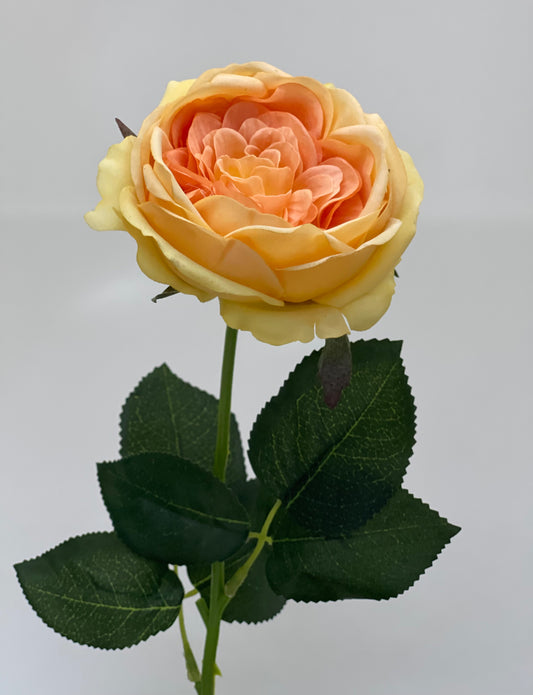 Real Touch Single Stem David Austin Roses Yellow