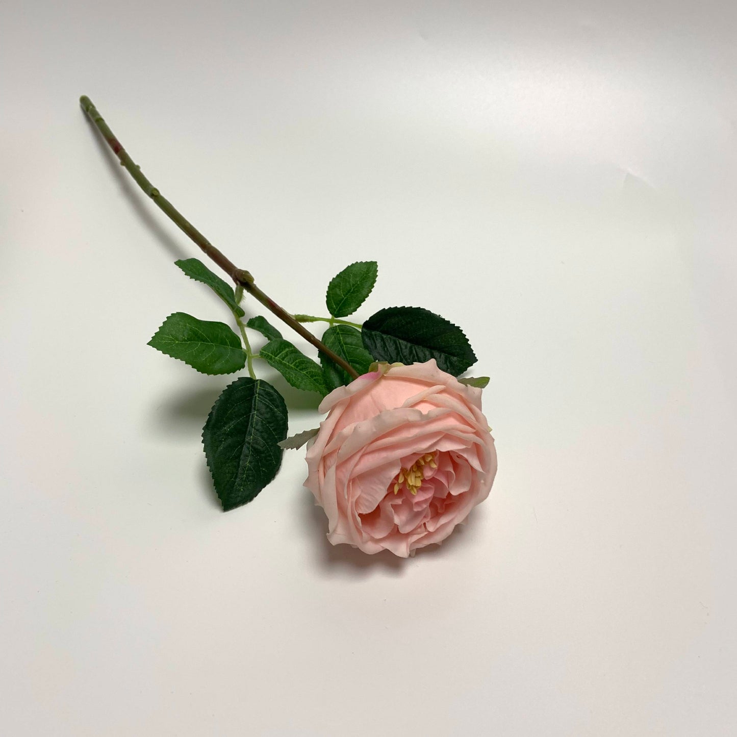 Real Touch Single Stem David Austin Roses Pink