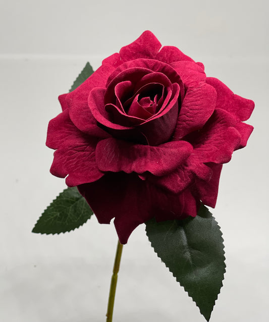 Velvet Single Stem Rose Deep Red