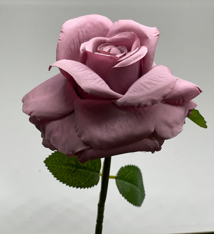 Single Stem Rose Purple