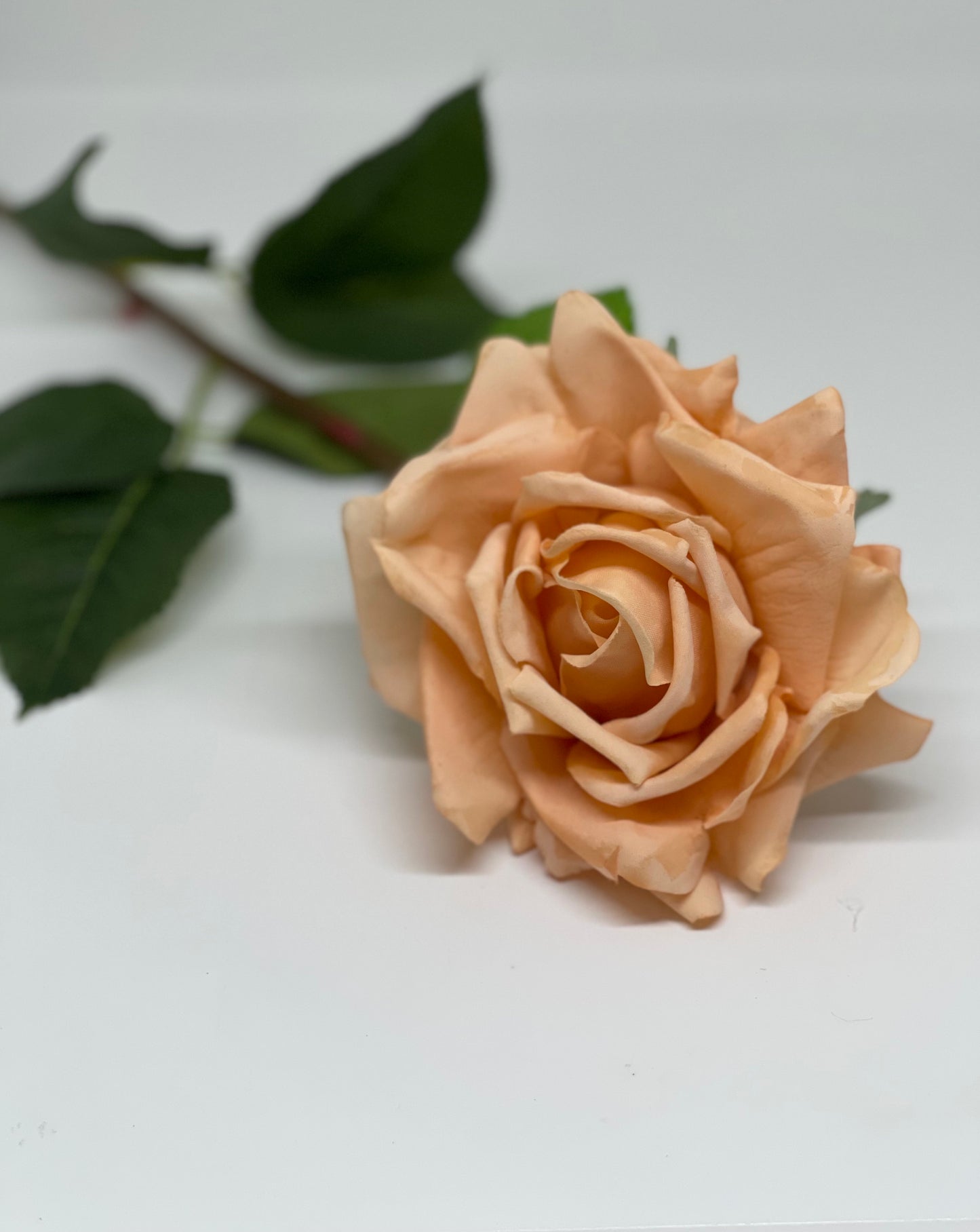 Louis Real Touch Single Stem Rose Premium Peach