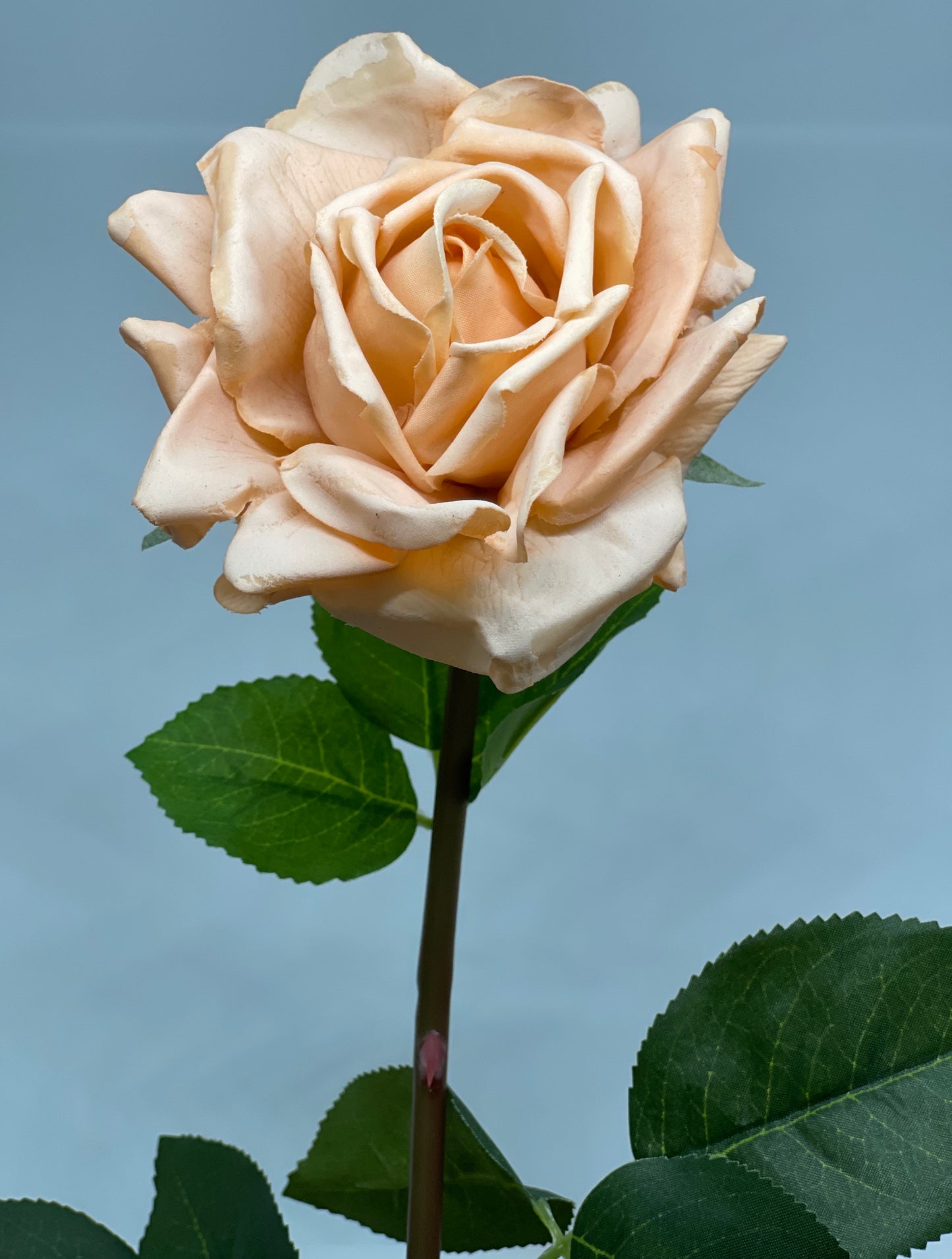 Louis Real Touch Single Stem Rose Premium Peach