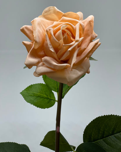 Louis Real Touch Single Stem Rose Premium Peach